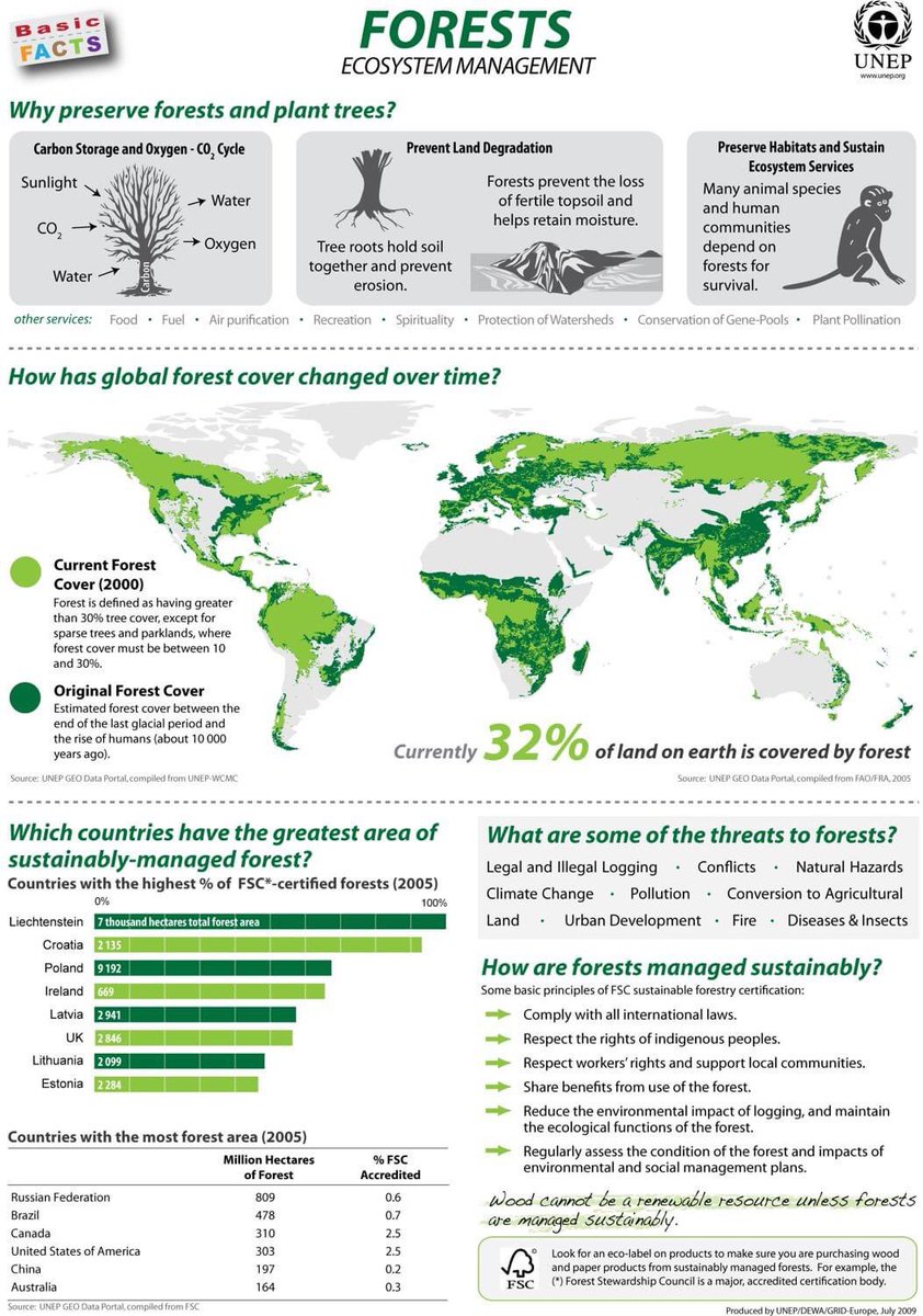 iradespoir's tweet image. Sustainably managing forests is essential:

🌳 for carbon storage
🌳 to prevent land degradation
🌳 to preserve habitats 

Check out the shift in global forest cover over time 👇
via #UNEnvironmentProgramme