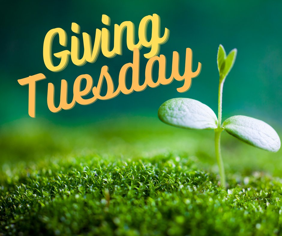 OregonVBC's tweet photo. Help grow a better future for Oregon. Donate to OVBC today!
https://t.co/dovpiOiZ2J https://t.co/1QxT2axxiJ