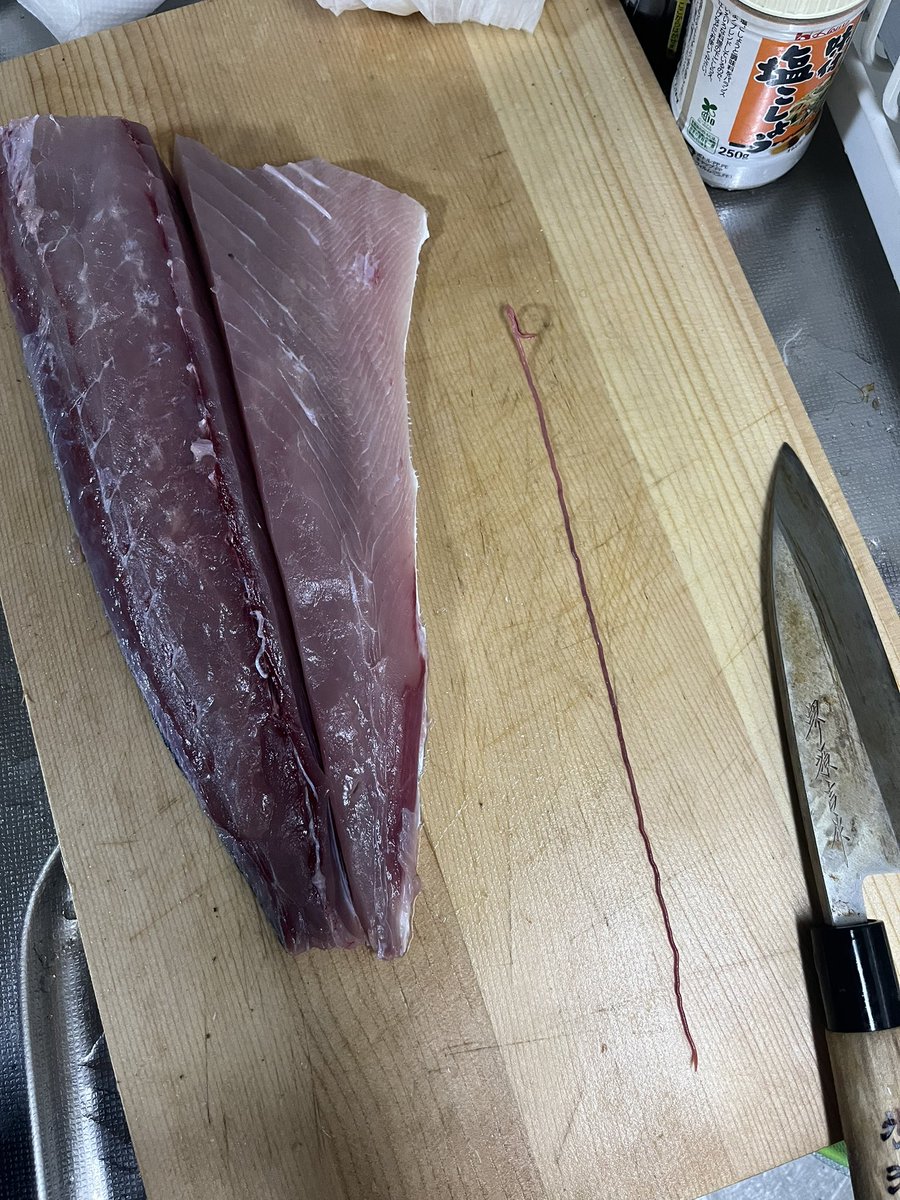 fishing_0401's tweet photo. メジロ捌いたら長いの出てきた😱

なんじゃこりゃ！！！！

#ブリ　#メジロ　#ハマチ　#ツバス　#ジギング　#ショアジギング　#関西釣り　#明石ジギング https://t.co/lGtSFKX3bq
