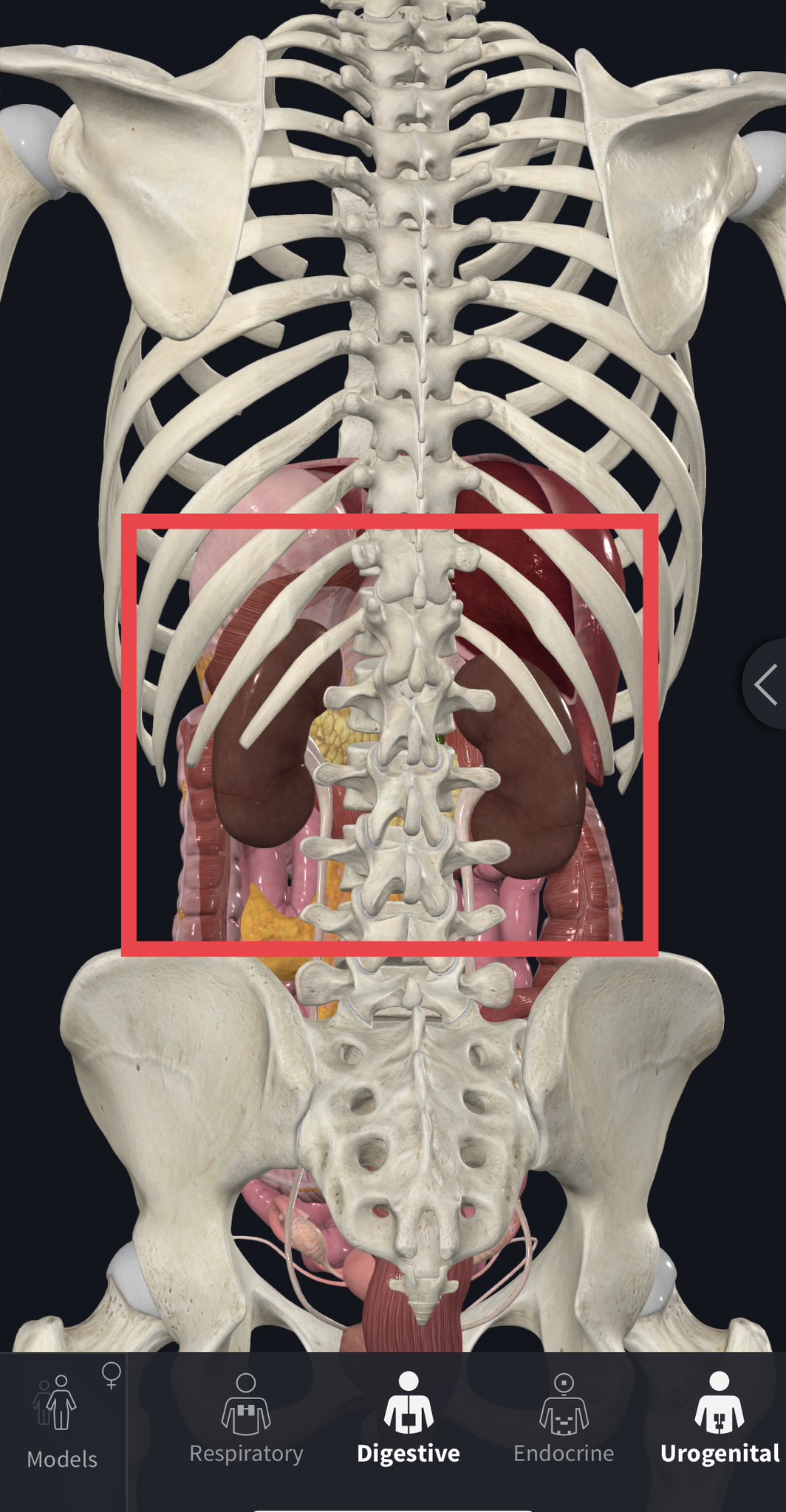 Jesse Morse, MD on Twitter "TomPelissero Kidney lacerations are