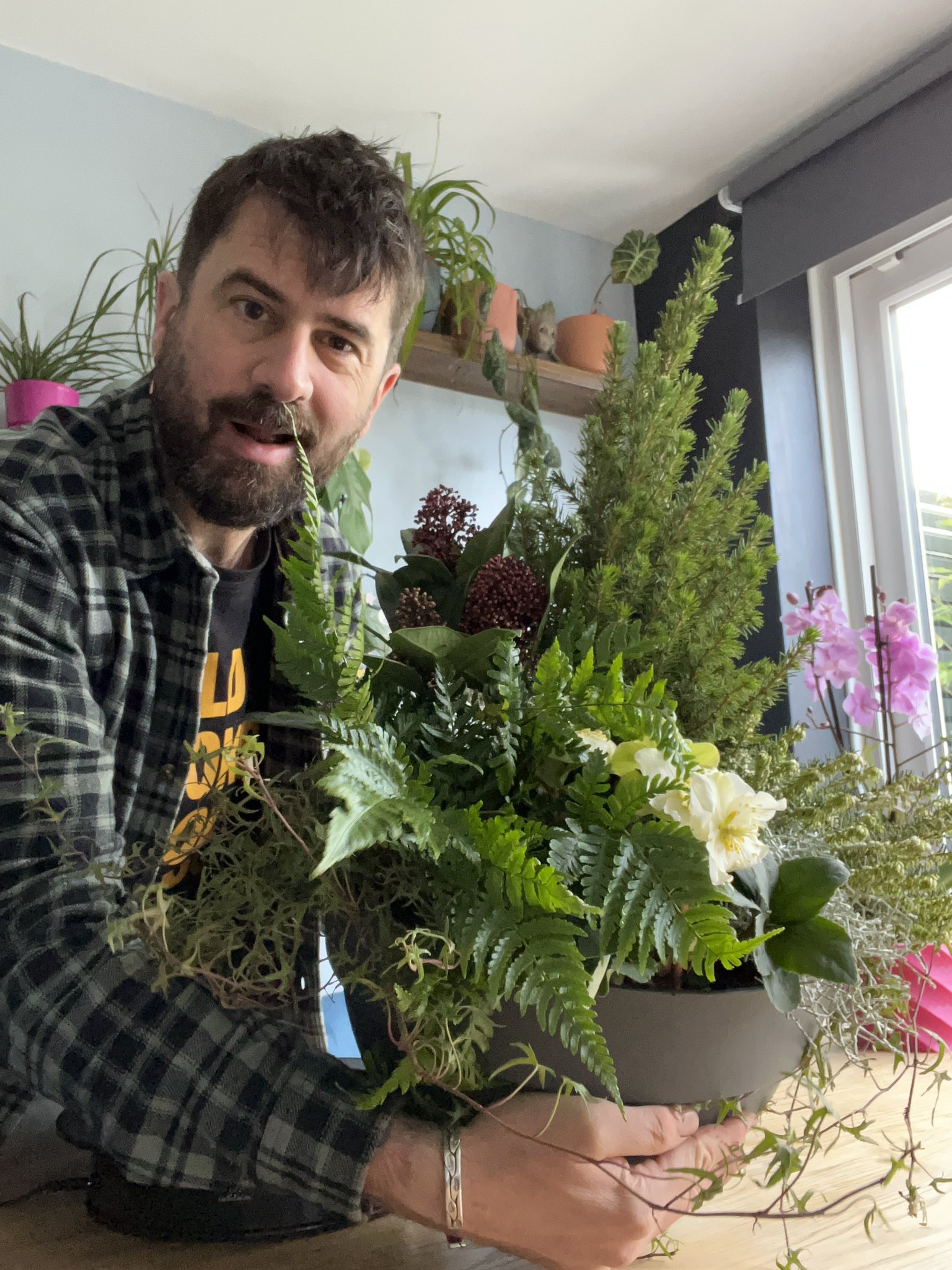mr-plant-geek-on-twitter-that-s-my-christmas-tree-https-t-co