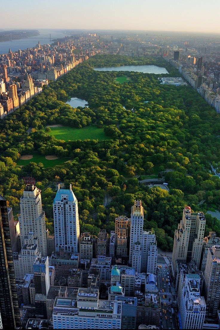 addictviews's tweet photo. Central Park, NYC https://t.co/CXlVe9zj7y