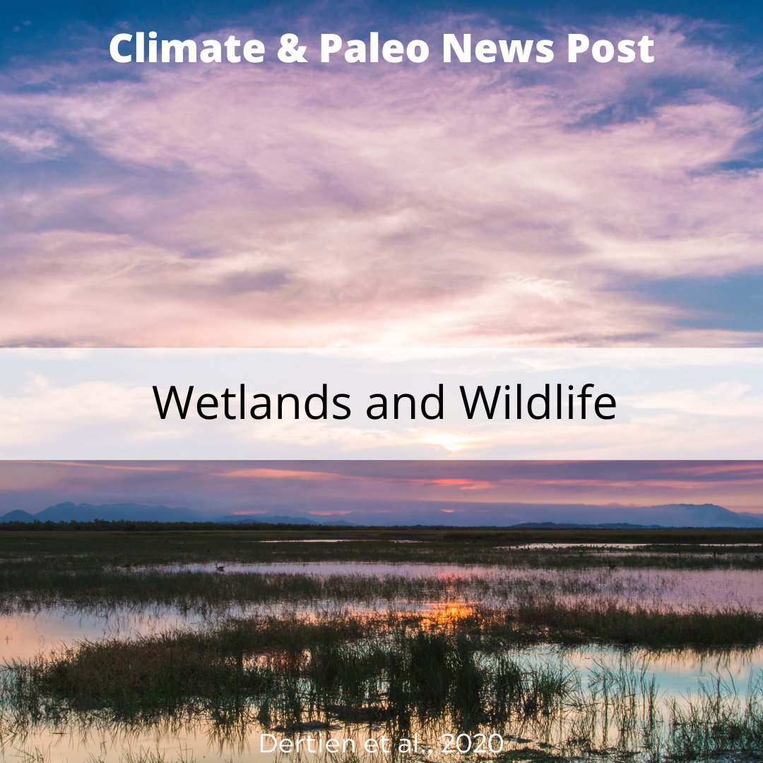 TimeScavengers's tweet photo. #VIPSciComm intern Habiba summarizes a study that modeled #wetland cover for the continental 48 U.S. states and collected estimates for how much wetland existed in the continental U.S. in 2001 and 2011. Read more about this study on the site at https://t.co/tefZH36LYQ https://t.co/g7rFGbeuBs
