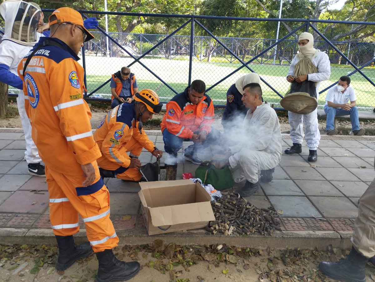 #PrevencionyAccion Articulados con <a href="/DefCivilCesar/">Defensa Civil Cesar</a> <a href="/Corpocesar/">Corpocesar</a> y <a href="/BomberoValledup/">Bomberos Valledupar</a> se realiza control y manejo de abejas en el parque de la provincia, Balneario Hurtado <a href="/SecGobiernoVup/">Secretaría de Gobierno Municipal</a> <a href="/MelloCastroG/">Mello Castro</a> <a href="/pipemurgas/">Felipe Murgas Vega</a>