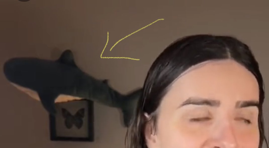 Noah_Fencebutt's tweet photo. @EITC_Official @elonmusk Why is that whale being allowed to oppress the butterfly? #whaleprivilege #macroaggression #mammalsplaining https://t.co/teePVsRd4n