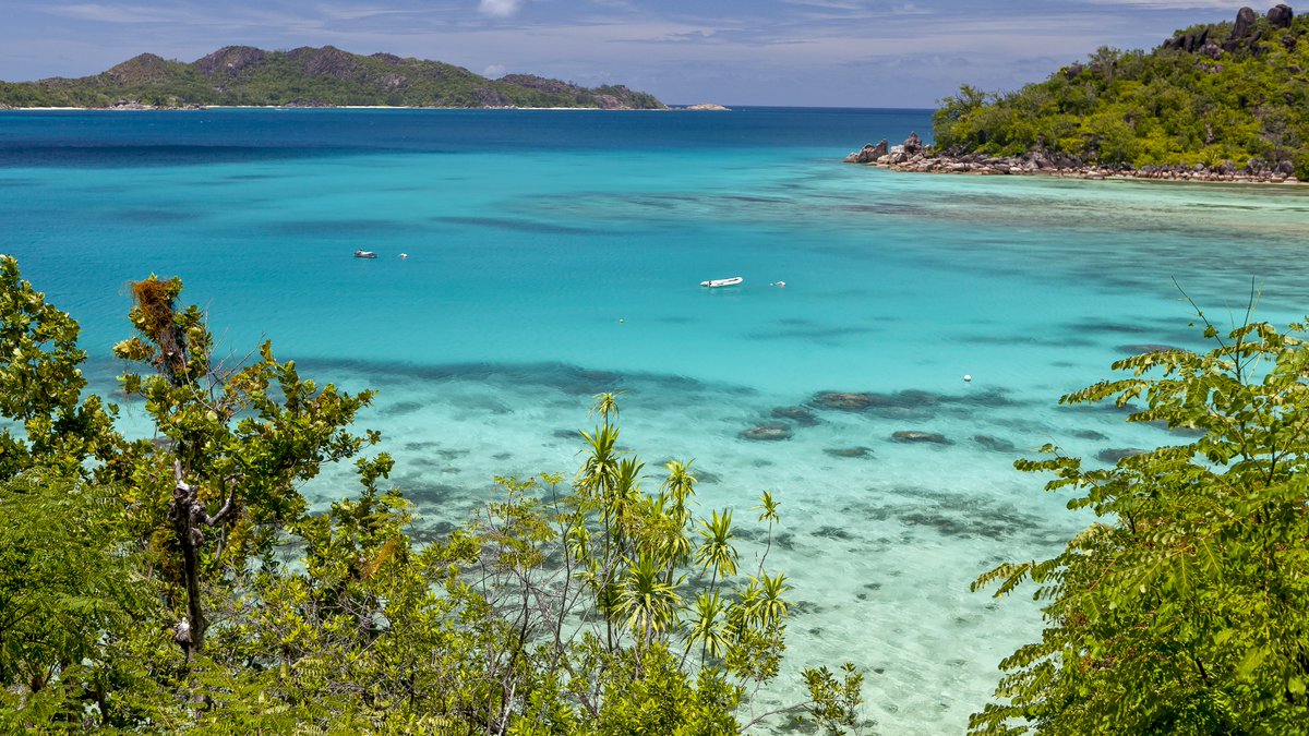#photo du semestre. À #Nantes l'#hiver et le froid arrivent. Il est temps de penser à des horizons plus ensoleillés.