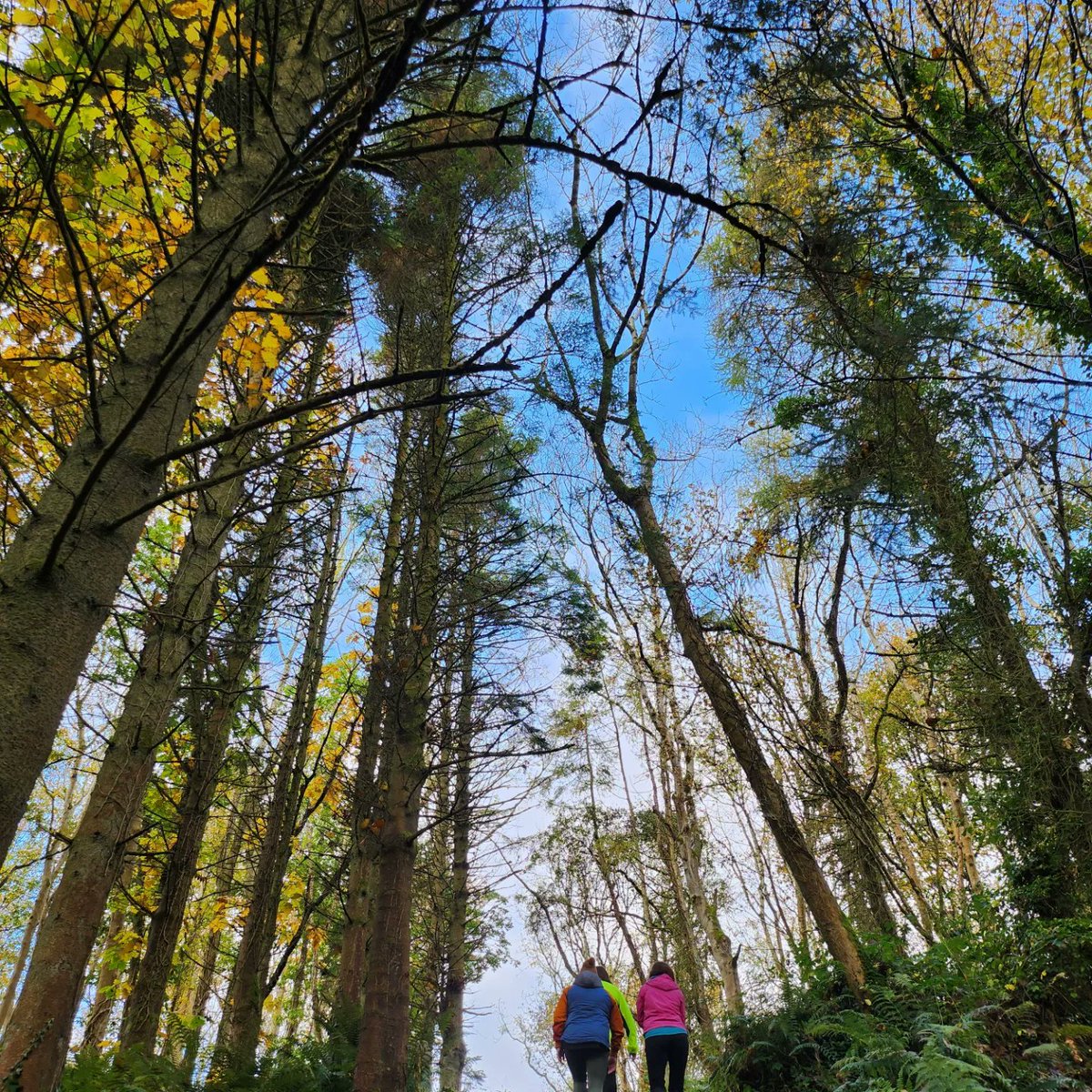 EXPLORE, DIP &amp; SAUNA EXPERIENCE 

Join me on Thursday 8th of December for an incredible experience that will leave you feeling relaxed, refreshed &amp; ready for the weekend.
Booking cam be made on my website ellamor.co.uk 
<a href="/VisitCauseway/">Visit Causeway Coast & Glens</a>  <a href="/TourismIreland/">Tourism Ireland</a> <a href="/NITouristBoard/">Tourism NI</a>