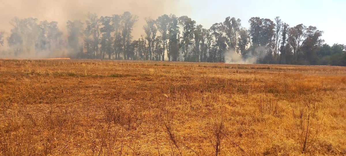 #Sequia2022 📍🔥 En distintos puntos de Luján, Bs. As. ya se han registrado incendios de distinta magnitud👇🏼
