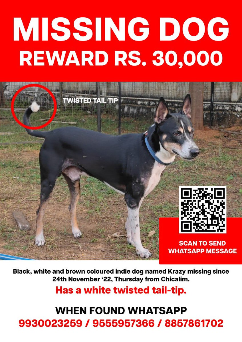 bexnelson's tweet photo. #findingKrazy missing for 6 days https://t.co/ZIPOMo1DjQ