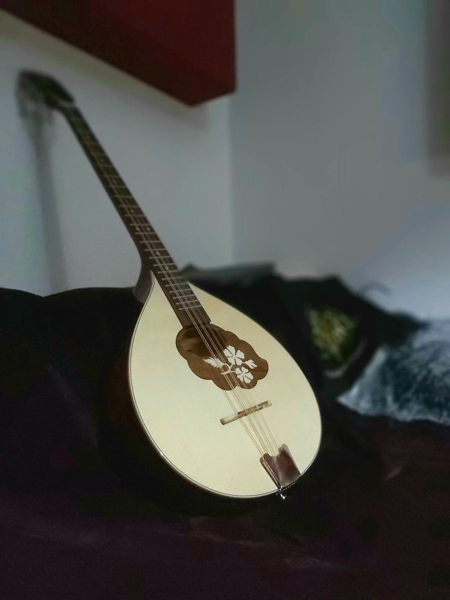 WizardsHatMusic's tweet photo. Bouzouki as a christmas present for me and my neighbours! https://t.co/czFMDZ618x