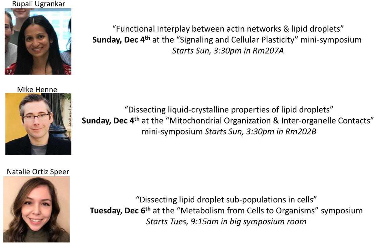 Henne_Lab (@hennelab) on Twitter photo At ASCB #cellbio2022 & interested in lipid droplets? Check out some LD talks! ASCB is a great venue for trainees to speak!
see <a href="/naaatalieortiz/">Natalie Ortiz Speer 🇨🇷🇪🇨</a>'s talk on LD functional diversity
see <a href="/RupaliUgrankar/">Rupali Ugrankar</a>'s talk on LD-cytoskeletal crosstalk
see Mike's talk on liquid-crystalline LDs At ASCB #cellbio2022 & interested in lipid droplets? Check out some LD talks! ASCB is a great venue for trainees to speak!
see <a href="/naaatalieortiz/">Natalie Ortiz Speer 🇨🇷🇪🇨</a>'s talk on LD functional diversity
see <a href="/RupaliUgrankar/">Rupali Ugrankar</a>'s talk on LD-cytoskeletal crosstalk
see Mike's talk on liquid-crystalline LDs