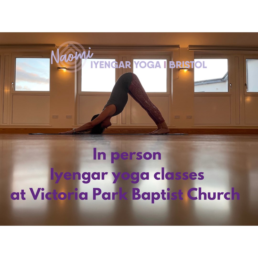 Iyengar Yoga at Vic Park Baptist Church 
In person classes running until Thurs 15th Dec inclusive- EVERYONE welcome 🤗 

6.30pm beginners
7.45pm General level

Booking is essential as numbers are limited 

Book here: naomi8301.wixsite.com/naomi
Or via @movegb 
#iyengaryoga #bristol