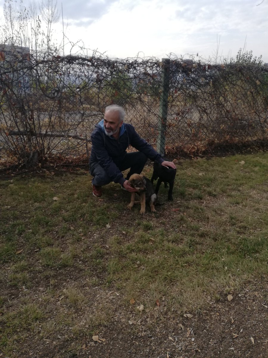 Sizin başınızı okşamak varken, neden başınıza kürekle vurulur ki?! Sizin başınıza kim ki kürekle vuruyorsa, dünya da onun başına yıkılsın..
