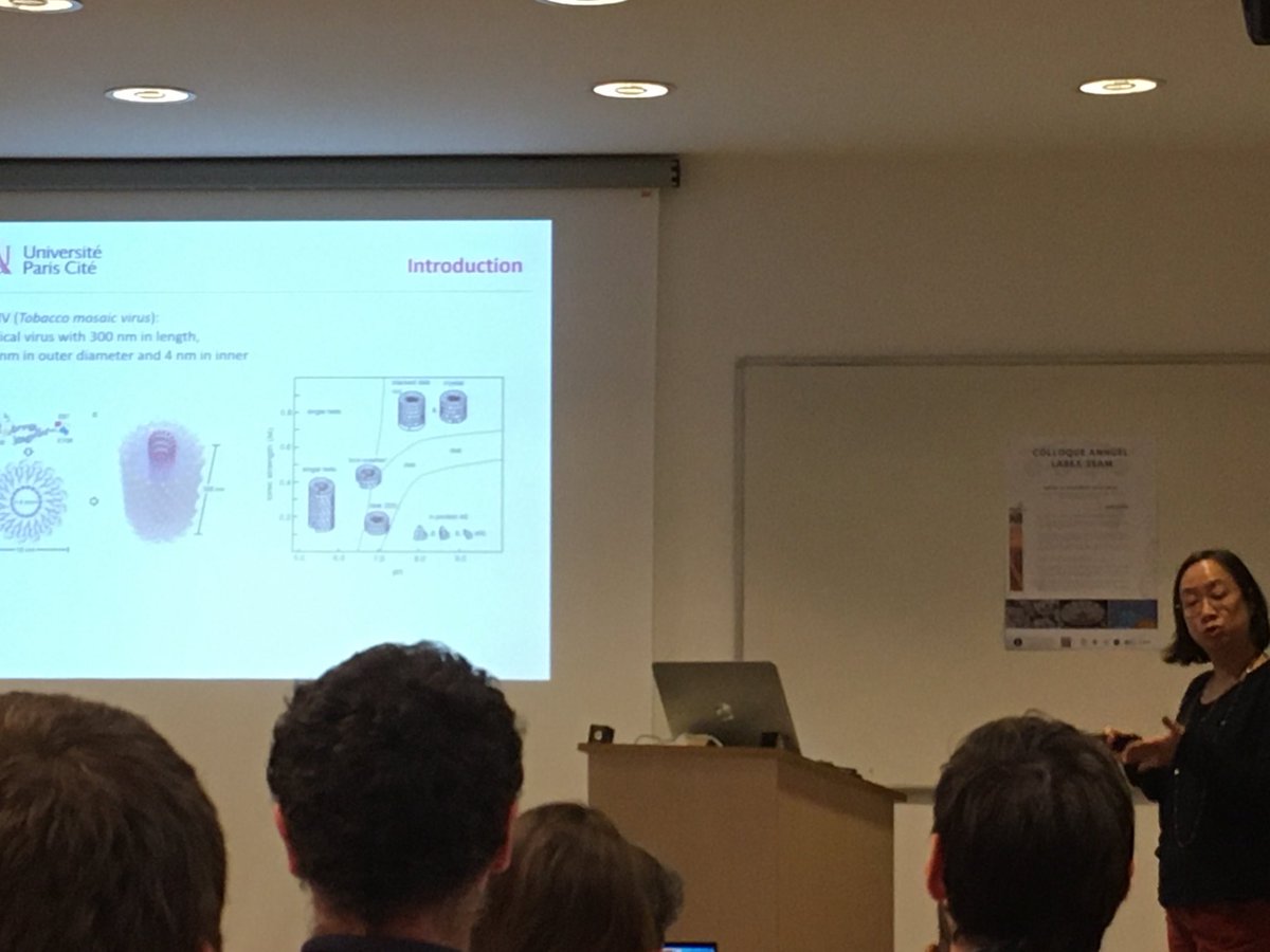 FKanoufi's tweet photo. On the role of plant virus to control the growth of plasmonic Nano structures by Than from @TeamIMM2 @ITODYS_lab during #LabexSeam annual meeting https://t.co/dzS6GuSZP7