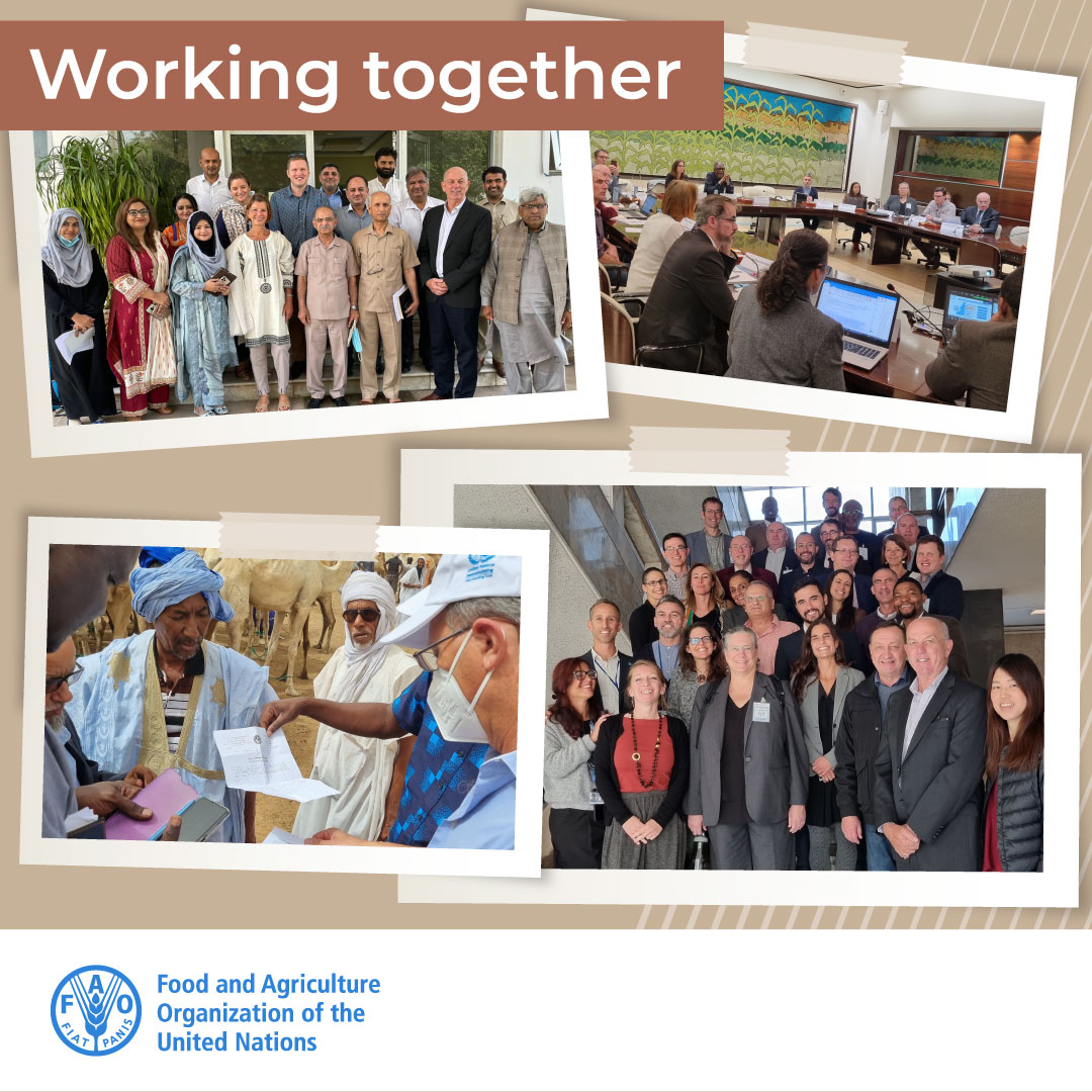 FAO Livestock (@faolivestock) on Twitter photo .<a href="/FAO/">Food and Agriculture Organization</a> Emergency Management Centre kicked off its 16th Annual Steering Committee today!
The team reported on: 13 interventions to support 11 countries in #LSD #RVF #HPAI #FMD, development of preparedness tools, and project activities – all thanks to donor support!
#OneHealth .<a href="/FAO/">Food and Agriculture Organization</a> Emergency Management Centre kicked off its 16th Annual Steering Committee today!
The team reported on: 13 interventions to support 11 countries in #LSD #RVF #HPAI #FMD, development of preparedness tools, and project activities – all thanks to donor support!
#OneHealth