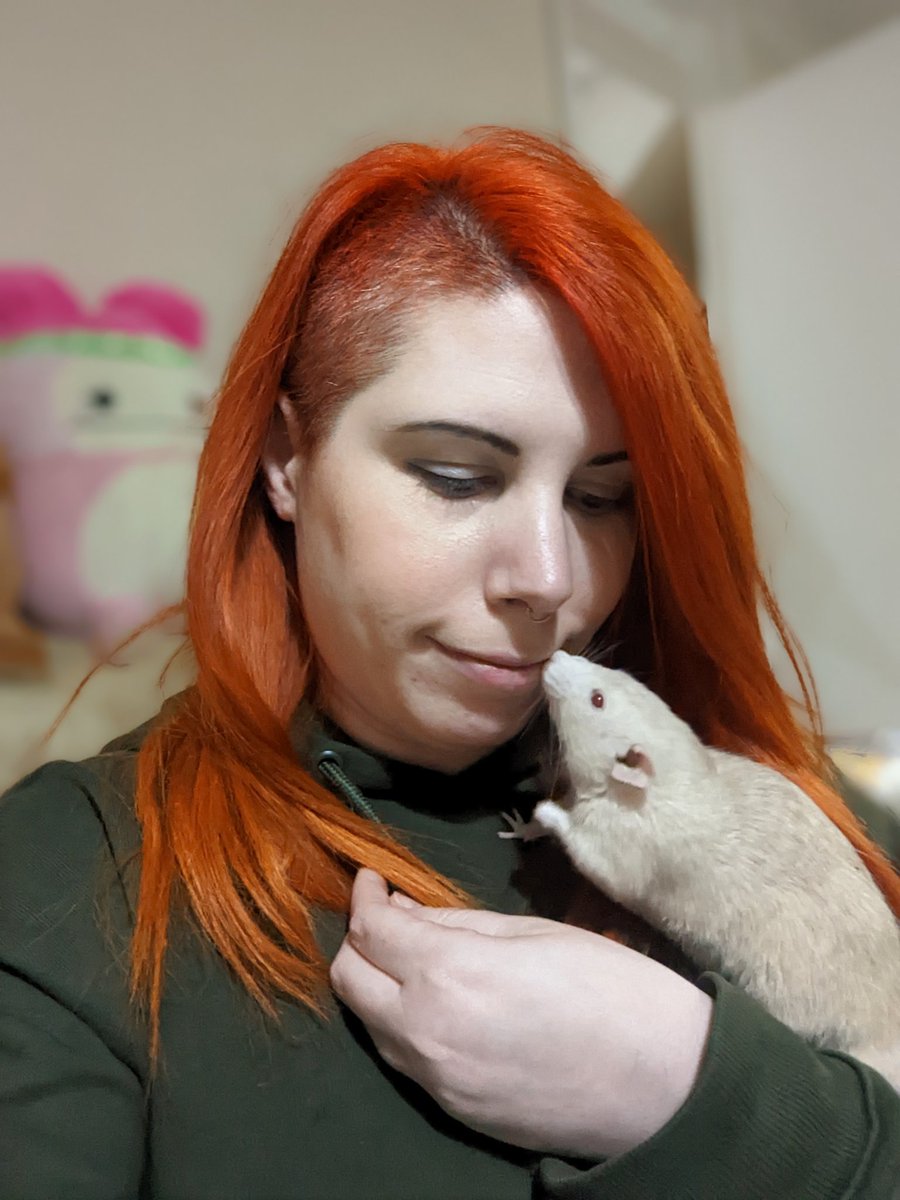 GingerbreadRats's tweet photo. Uno is getting so big now. Four months old today! https://t.co/5wWSdPPue9