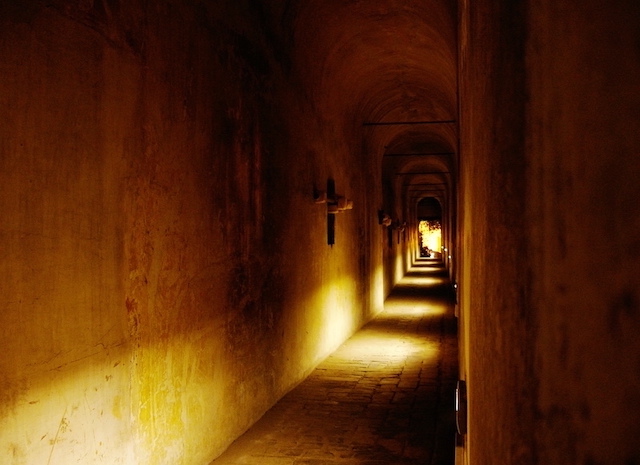 Intruder          ...Part 24        …Family Skeletons

It seemed like a dream, the kind you don't want to end

hive.blog/writing/@johnj…