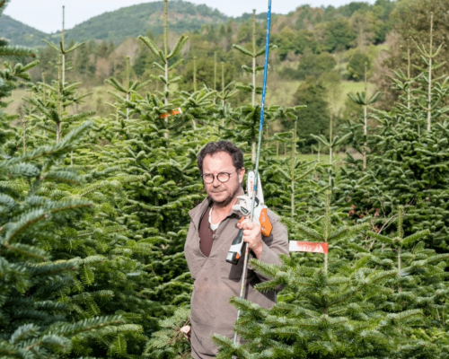 ChocolatineActu's tweet photo. Mon bio sapin, roi des forêts … En #Ariège, @francesapinbio cultive avec amour de beaux sapins sans engrais chimiques ni herbicides 🌲
Et en plus, il te livre ton arbre de #Noël à la maison ✌🏼
✍🏼 @maxime_legoff 👉🏼 https://t.co/LCE1zeJDvJ https://t.co/qZXt7Ugmyz