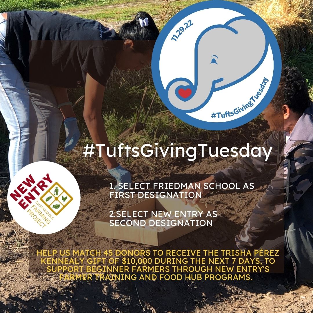 New Entry (NESFP) tweet media