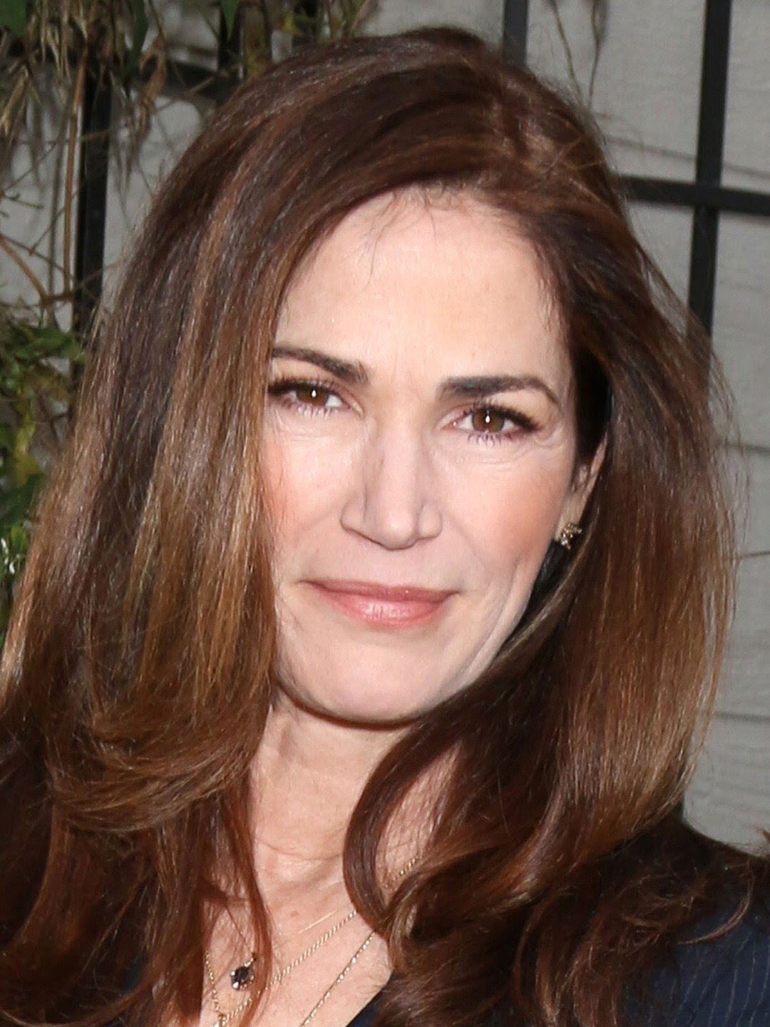 Happy Birthday, Kim Delaney!      
