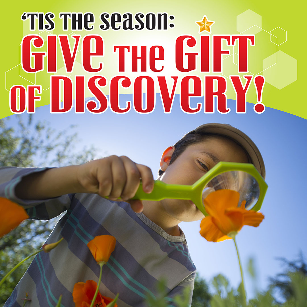 Discovery Cube So Cal tweet media