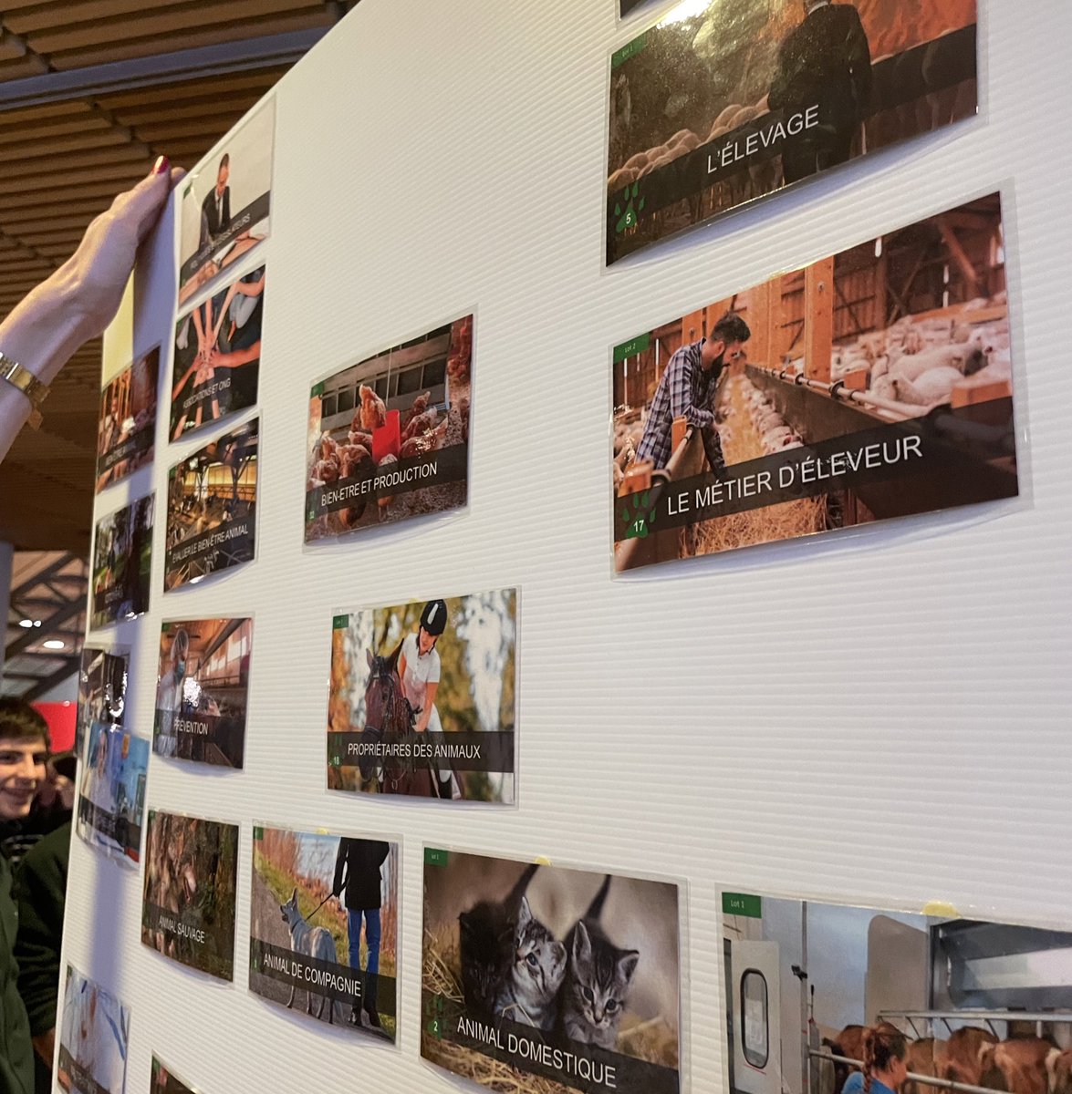 Cette après-midi nous avons la chance de participer à atelier de la fresque du bien-être animal dans le cadre de l’#OpenAgrifood 🐮 animé par <a href="/BarbaraGross57/">Barbara Gross</a> ! 

Mélange d’idées, de points de vue… Un atelier riche et très intéressant 🌻

@Groupe_ESA 

#BEA #élevage #livetweet