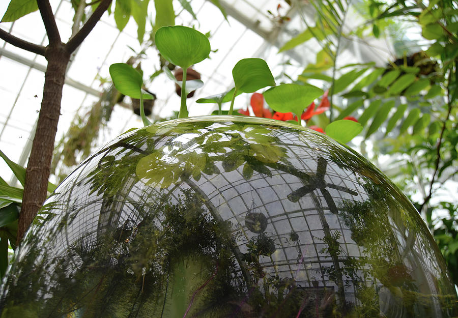 TravelPixPro1's tweet photo. #Greenhouse #Reflections

#hydroponics #terraium #giftideas #interiordesign #buyintoart #gardening #artistontwitter #photooftheweek #tuesdayfeeling #artforsale #homedecor #artforsale

#FineArt #PrintsForSale:
Color https://t.co/4VIWffA5WE
Black &amp; White https://t.co/3K1hhIyEoE https://t.co/RcQ9sOw2eE