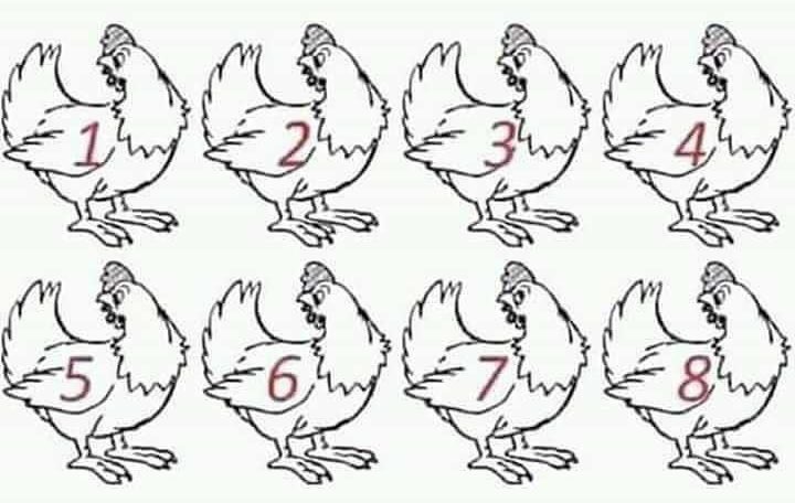 Man’s NOT Barry Roux tweet media