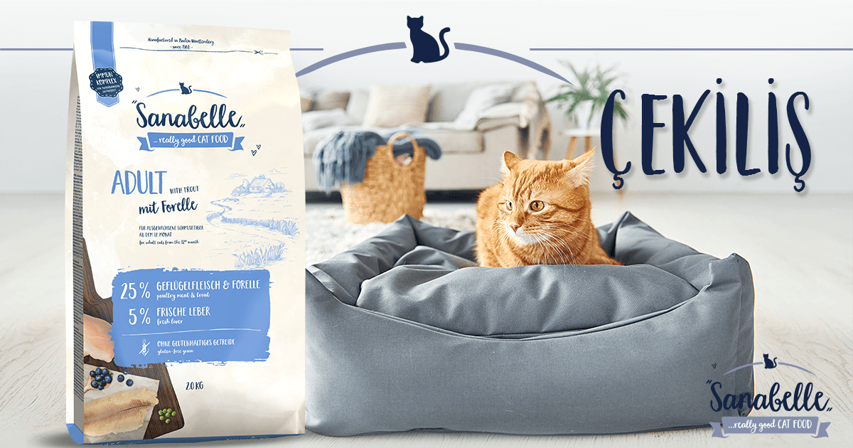 Sanabelle Alabalıklı Kedi Maması Çekilişi Başladı 🎁😻⁠
⁠
Bağlantıya tıkla, çekiliş biletlerini topla Sanabelle Alabalıklı Kedi Maması kazanacak 3 şanslı kişiden biri ol 🐈
⁠
Katılmak için ➡  bentas.co/cekilis