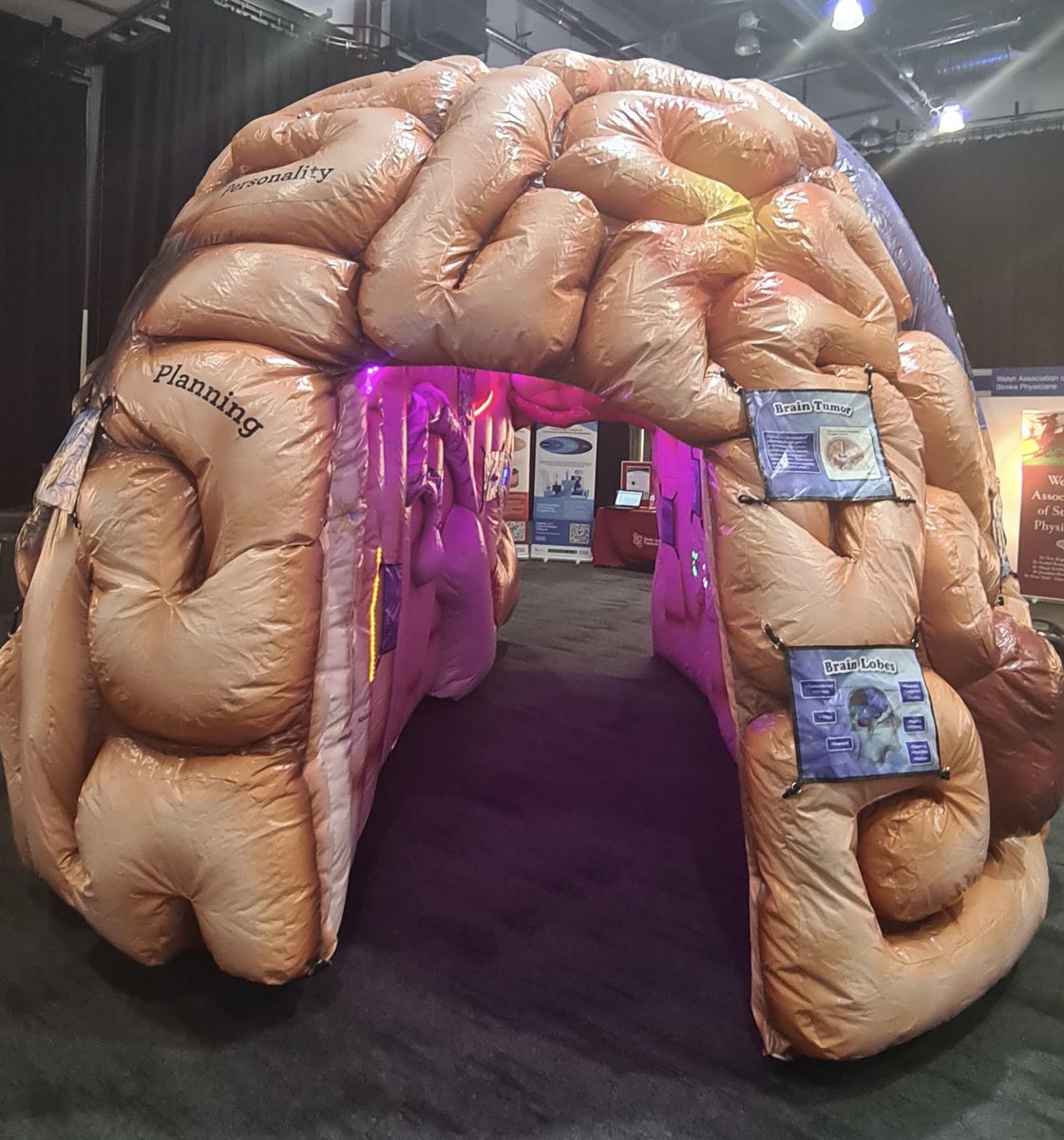 UKSF_SSEF's tweet photo. Want to learn more about #stroke? Come and take a trip through our interactive #MegaBrain #UKSF22 https://t.co/TUtpeLFc4n