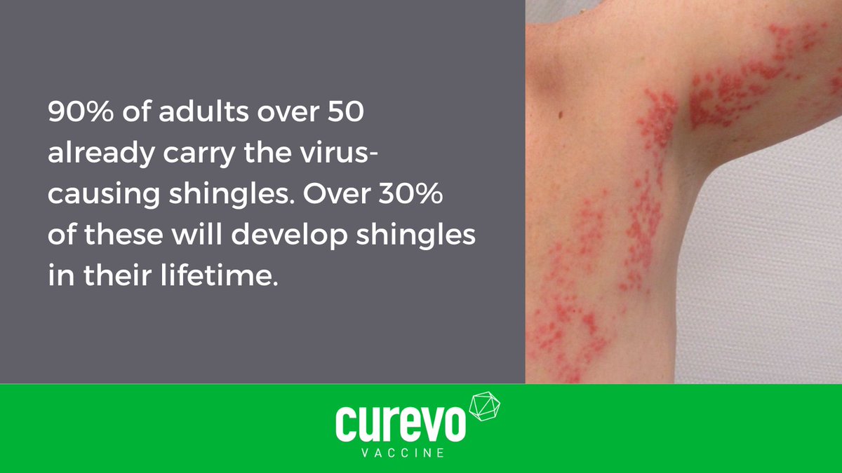 90% of adults over 50 already carry the virus causing shingles. Over 30% of these will develop shingles in their lifetime. For most older adults, the shingles rash lasting 2-4 weeks is bad enough, but 10-18% develop serious, long-lasting, and often debilitating nerve pain.