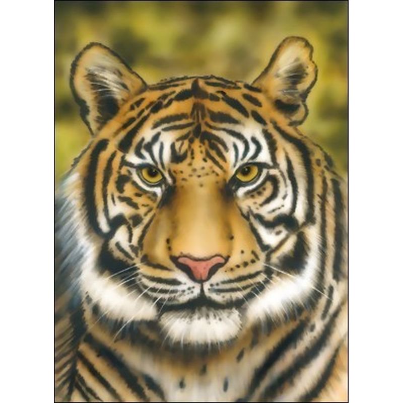 hourlyTiger (@hourlytiger) on Twitter photo 