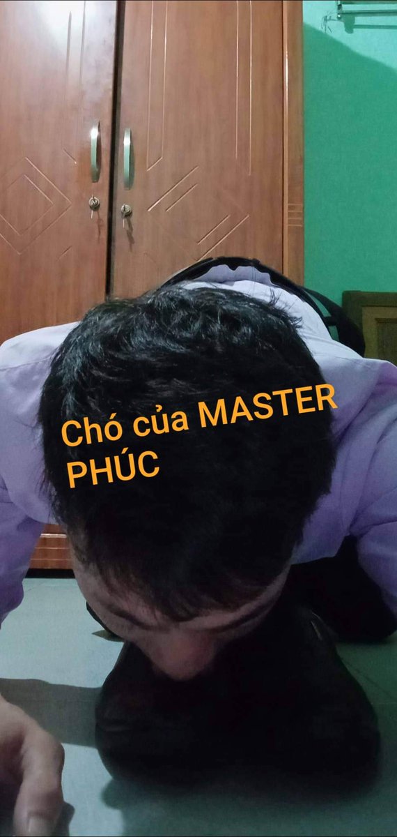 MASTERPHC2's tweet photo. Chó VP  mỗi  sáng quỳ lạy CHỦ  trước khi ra khỏi nhà https://t.co/Ajz3ZDPems