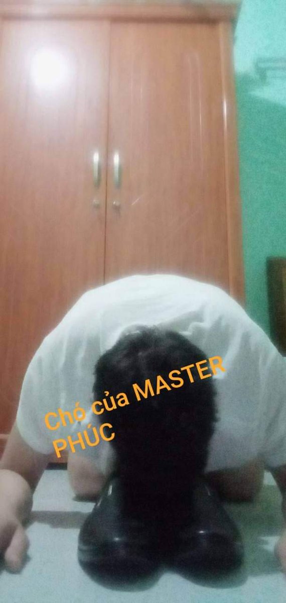 Chó VP  mỗi  sáng quỳ lạy CHỦ  trước khi ra khỏi nhà