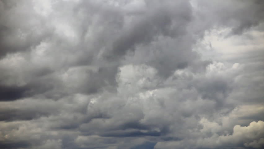 random weather bot tweet media