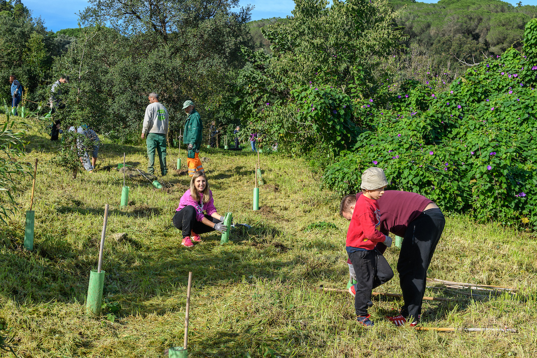 Planting day on 26th november! 🌳 
A partnership between <a href="/CamaraLisboa/">Lisboa</a>, Life Lungs #Lisboa, @Nestleand @HaysPortugal resulted in about 1000 trees planted in the urban park of Quinta das Conchas and in the hill near to Serafina neighbouhood.  <a href="/LIFEprogramme/">LIFE Programme</a>