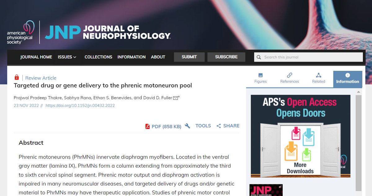 JNeurophysiol's tweet photo. New review in #JNeurophysiol "Targeted drug or gene delivery to the phrenic motoneuron pool" by Prajwal Pradeep Thakre, et al.
🖱https://t.co/t2S5itTt3l
@Sabhya_Rana #PhrenicMotoneurons #TargetedDelivery #intrathecal #intraspinal #intrapleural https://t.co/DTJ0T9d8U2