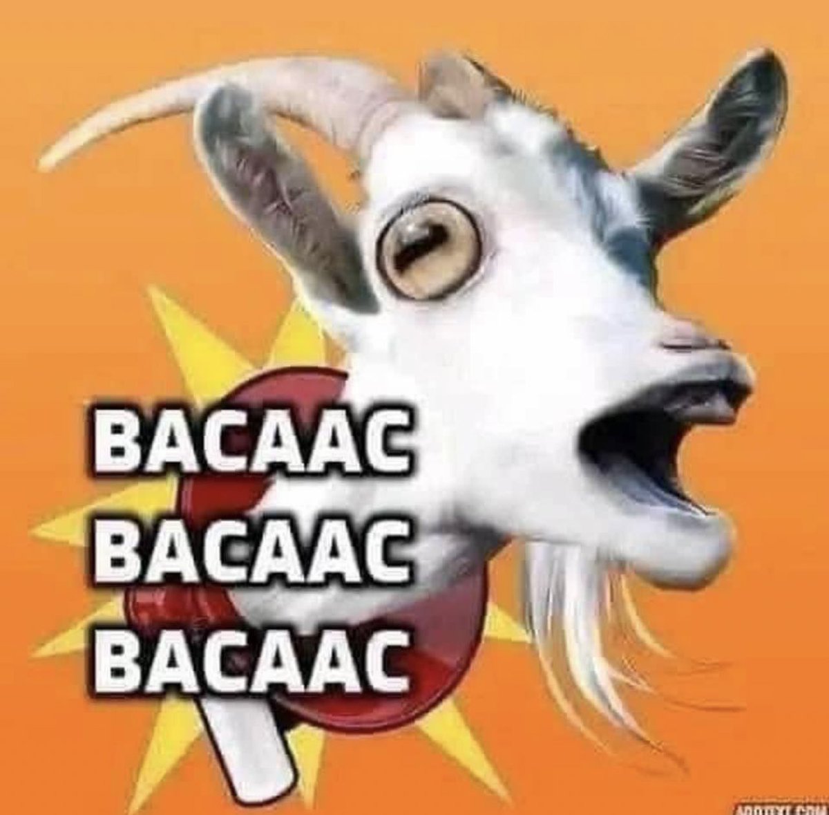 ArdelSomaul's tweet photo. @ul_price @Kaarbaash #Bacaac 
I’m not from Bixi clan, sub clan nor his sub sub clan. Yet I agree faqash tears are sweet. So cry is a river and see if we care 😒 #Bacaac 🤣🤣 https://t.co/IFch5YlWQU