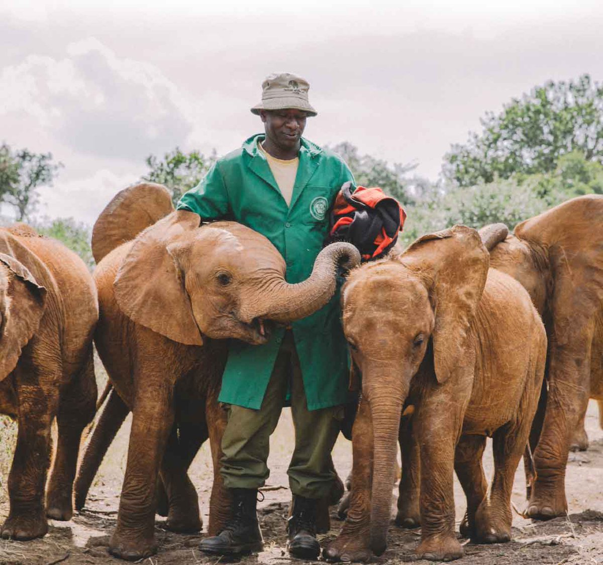 Cape Ardor (@capeardor) on Twitter photo Buy wine & help to save Africa’s wild life 🌍
We’re donating 10% of all sales from customers using the code: SHELDRICK10 to assist the Sheldrick Wildlife Trust.
Together we can be a lifeline for wildlife ♥️
Shop here: bit.ly/sheldricktrust Buy wine & help to save Africa’s wild life 🌍
We’re donating 10% of all sales from customers using the code: SHELDRICK10 to assist the Sheldrick Wildlife Trust.
Together we can be a lifeline for wildlife ♥️
Shop here: bit.ly/sheldricktrust