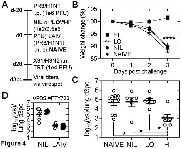 J_Immunol's tweet photo. #CuttingEdge from Linda Wakim @UniMelb @UniMelbMDHS @TheDohertyInst: High dose live attenuated #influenza #vaccines elicit pulmonary tissue-resident #memoryCD8TCells in the face of pre-existing #HumoralImmunity https://t.co/GPBGoE6y05 https://t.co/QN2XsAumpf