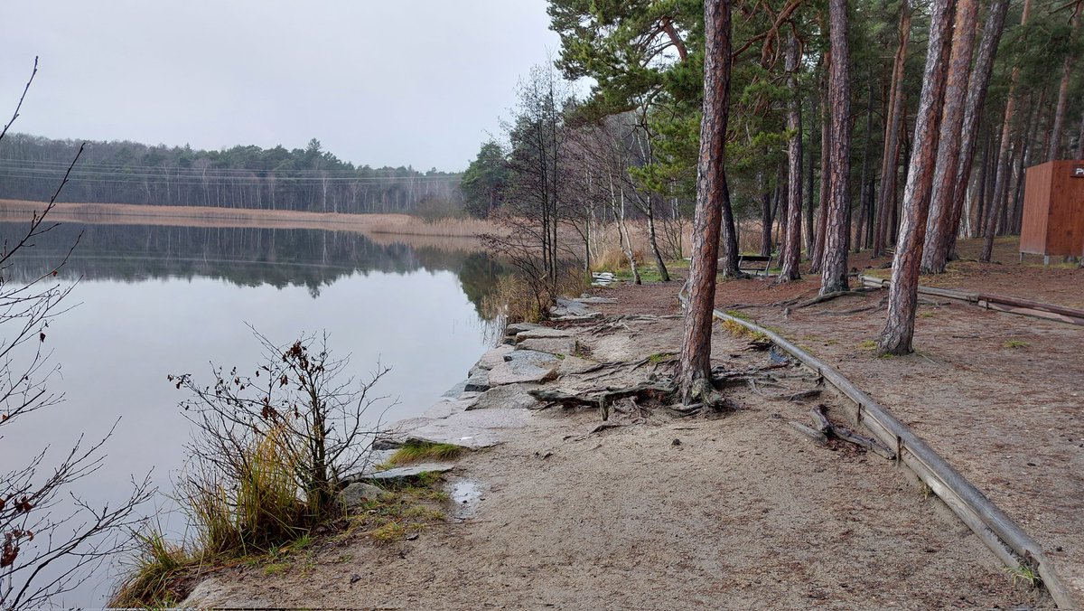 seniortour2000's tweet photo. 🎼"Prší, prší, jen se leje, kam koníčky pojedeme?.." #Kamenak #Plzen #Bolevec #outdoorswimming #winterswimming #furtvplavkach #Garminfenix3 #FanoushiToDas..to je sice hezké motto Fanouši, ale někdy by se ti hodilo mít nožičky jak #Dubanci, viď? 🏊♂️🌧💧👍😃 https://t.co/yRlRHRycM5