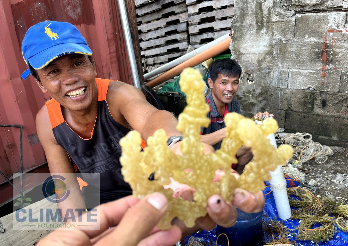 This #GivingTuesday, we would like to thank everyone who has generously contributed to support the development of #MarinePermaculture

Our team is looking forward to scaling next year when we will be building our 1st hectare!
climatefoundation.org