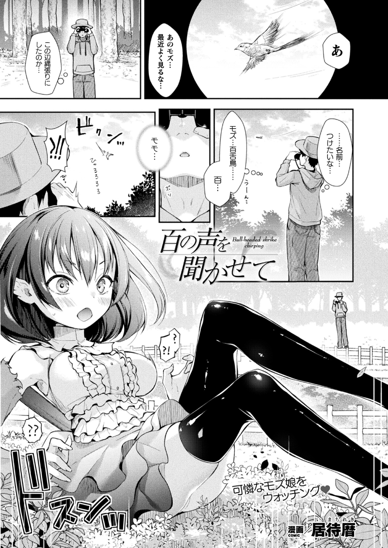 【NSFW】『コミックアンリアルVol.100』に擬人化モズさんのお話が掲載されてます!よろしくお願いします!
※リンク先はR18
コミックアンリアル様→https://t.co/DjowUGQ3iX
単話は以下で!
FANZA様→https://t.co/2TYKjYcf3Z
DLsite様→https://t.co/MsI2baiD0F