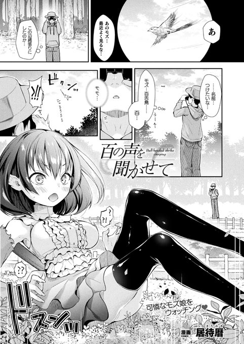 【NSFW】『コミックアンリアルVol.100』に擬人化モズさんのお話が掲載されてます!よろしくお願いします!
※リンク先はR18
コミックアンリアル様→https://t.co/DjowUGQ3iX
単話は以下で!
FANZA様→https://t.co/2TYKjYcf3Z
DLsite様→https://t.co/MsI2baiD0F 