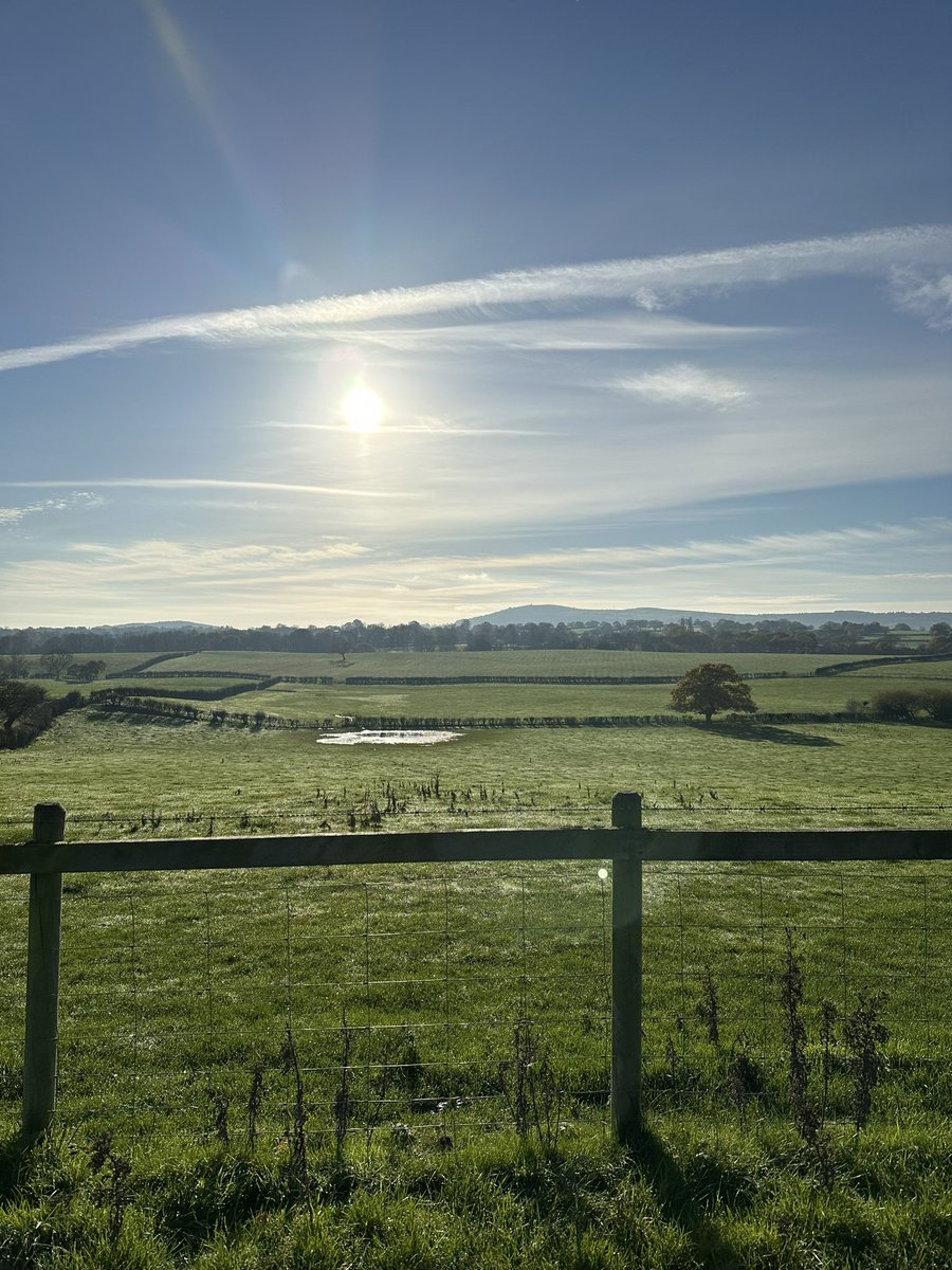 fletchybels's tweet photo. Lunchtime walk today soaking up the vitamin D and watching two Belugas pass overhead! ✈️ https://t.co/OI8eUCXa8M