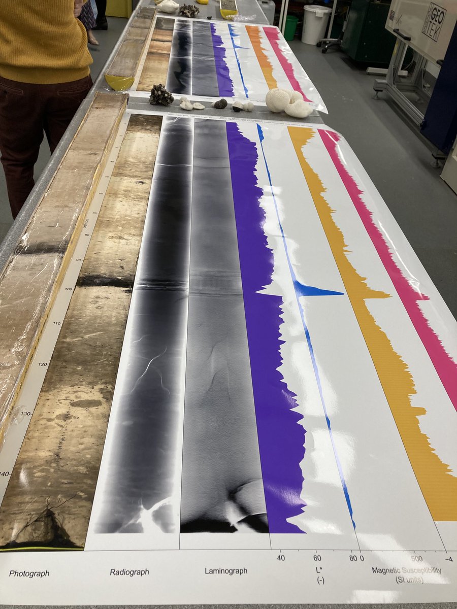 HughRaven's tweet photo. To Southampton w @greenfunders & a warm welcome to @NOCnews by Director Ed Hill. First up deep ocean cores, where sediment accretes at ~1cm/millennium. Then the lab of Discovery voyages, where in each sample often 90% of spp are new to science. #BritishScience https://t.co/8rVwdzylBX