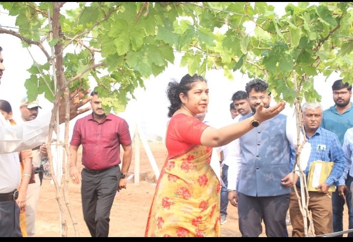 RD commissioner <a href="/shilpa_nag/">Shilpa Nag</a> visited the Amrit Sarovar work at Ronihal GP, and Grape area expansion work at Mulavada GP Kolhar Taluk, Vijayapur today.

ZP CEO Rahul Shindhe and other officials were present during the visit
