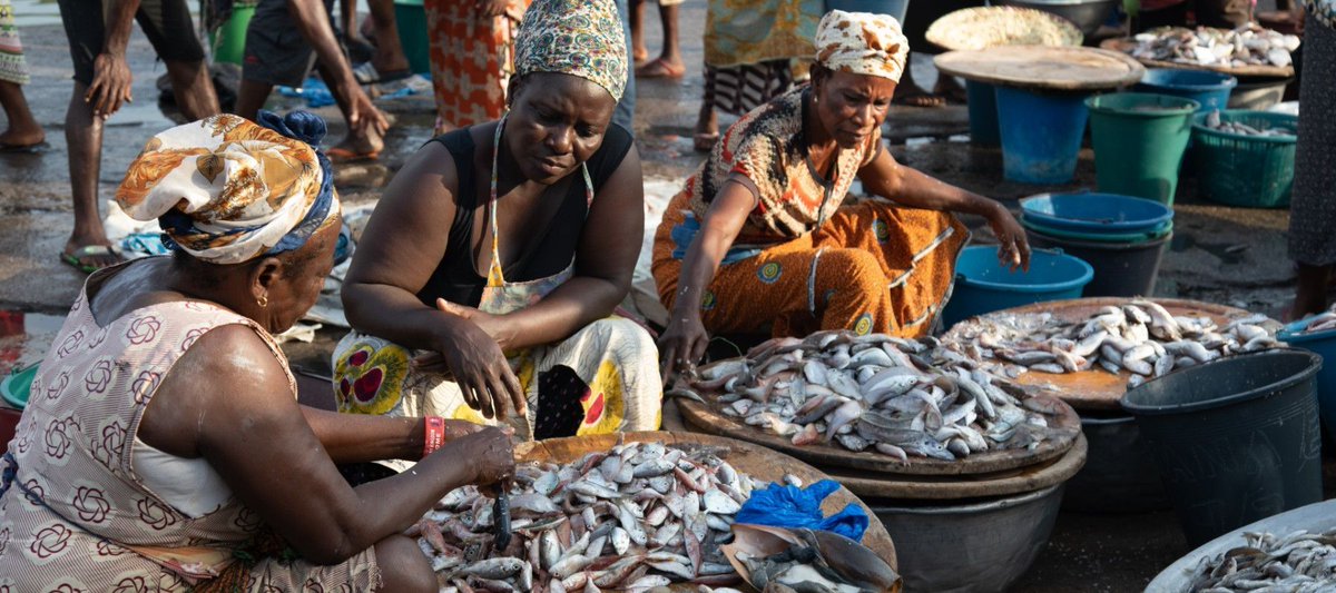 news_ghana's tweet photo. Sex for fish, a reality fuelled by growing economic hardships in Ghanaian fishing communities https://t.co/sng0tfDEk2 #FeaturedArticles #AREALITY #by #EconomicHardships #fuelled https://t.co/QfBoBn5iAr