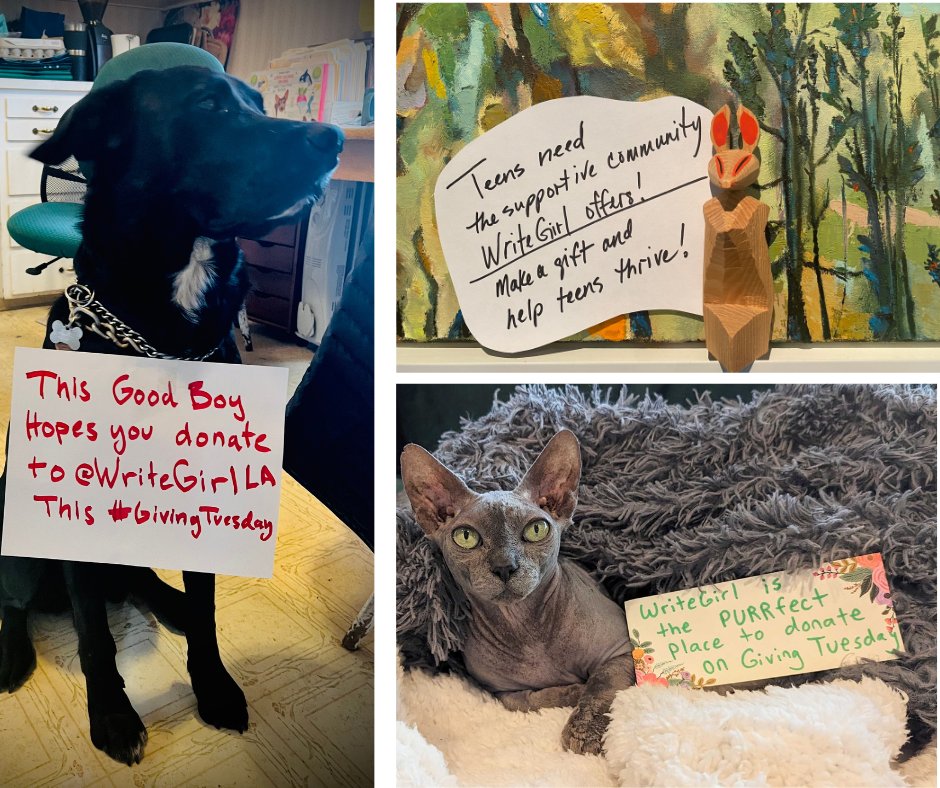 WriteGirlLA's tweet photo. Today is #GivingTuesday, and our members are sharing their "unselfies" and "best friendies" with messages about why they give to WriteGirl! #Donate today and help us continue to offer mentoring and workshops to teens around the world: https://t.co/lIm7w8kVvf #GivingTuesday2022 https://t.co/Hr0FqfXe8g