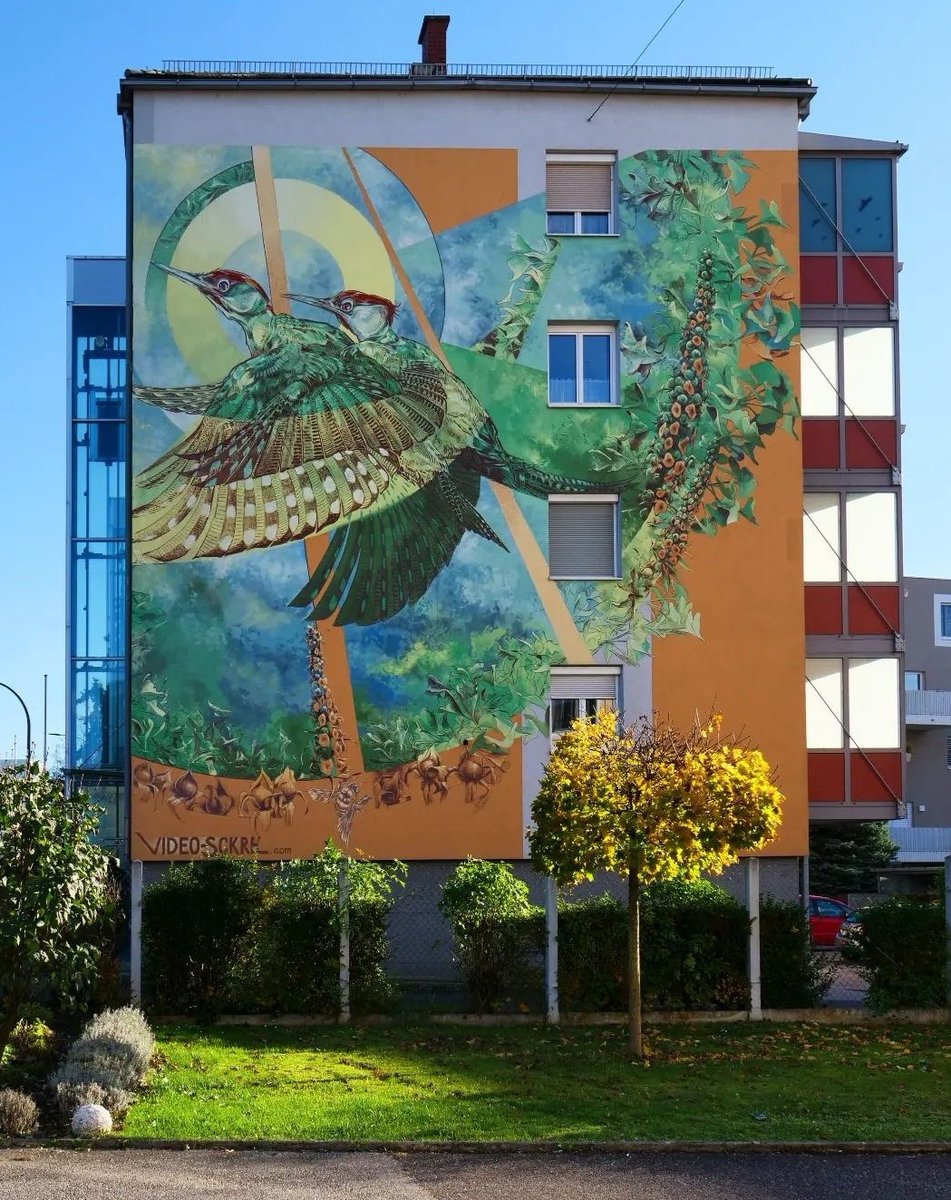 MolinaStreetArt's tweet photo. Art by Austrian Video Oner & Sckre in Linz, Austria (2022) #videooner #sckre #linzstreetart #streetart #lamolinastreetart 📷 via artists https://t.co/t8Ba1kW1FG https://t.co/A2miVvOhGT